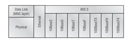 ethernet-type ethernet-type