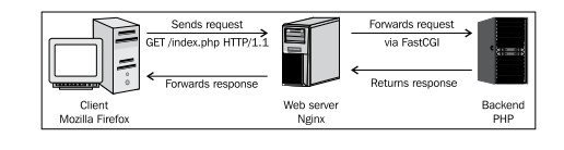 nginx-fastcgi nginx-fastcgi